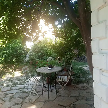 Hakimemilas *