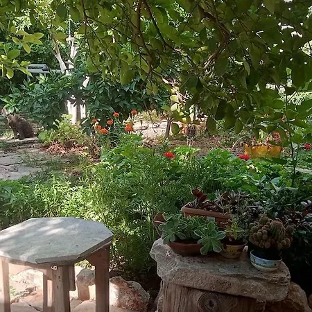 Hébergement de vacances Hakimemilas Milas